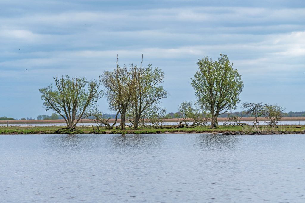 Varen in friesland