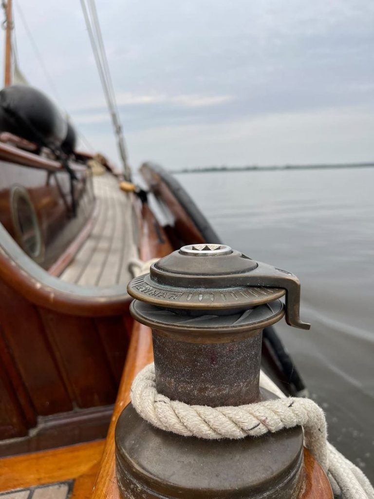 Lier van de Mossel