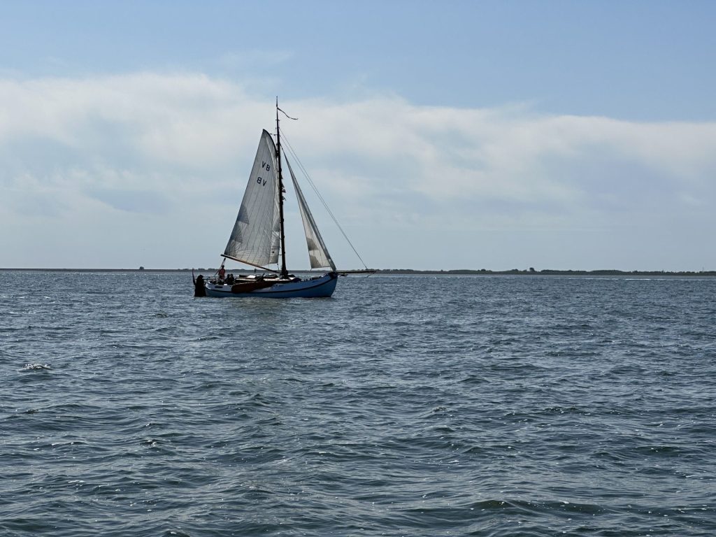 De Wilde Gans op de Waddenzee