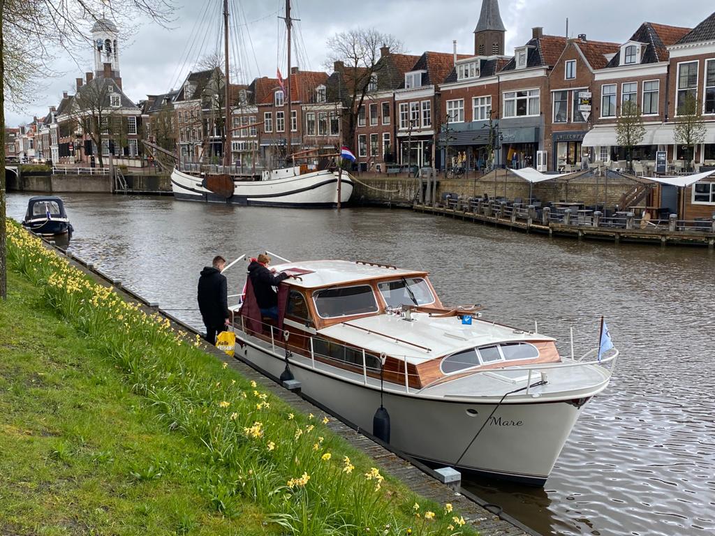 Mare in Dokkum