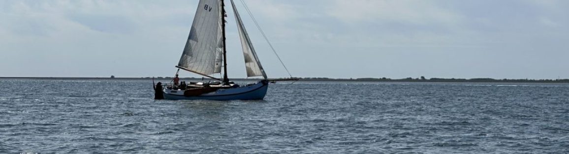 De Wilde Gans op de Waddenzee