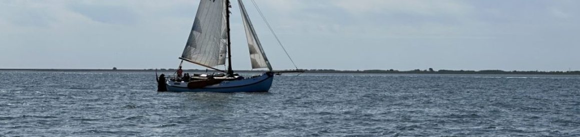 De Wilde Gans op de Waddenzee