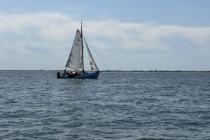 De Wilde Gans op de Waddenzee