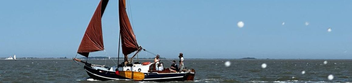 Sile zeilend op de Waddenzee