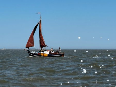 Sile zeilend op de Waddenzee