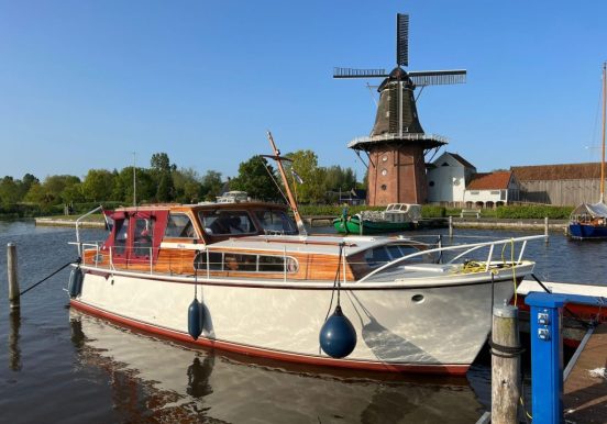 Mare bij de molen